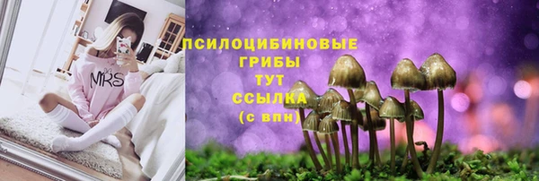 jwh Аркадак