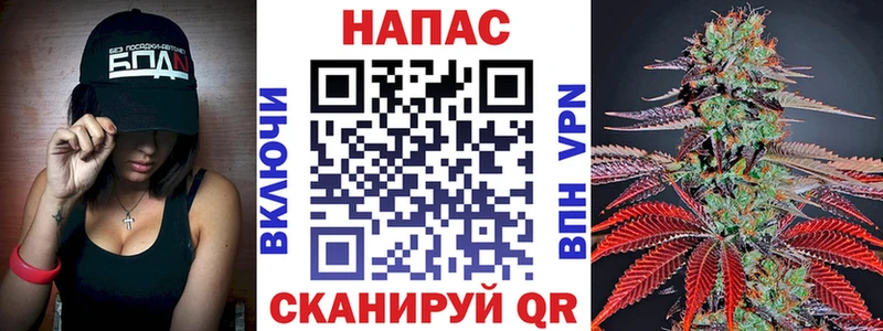 Каннабис MAZAR Чудово
